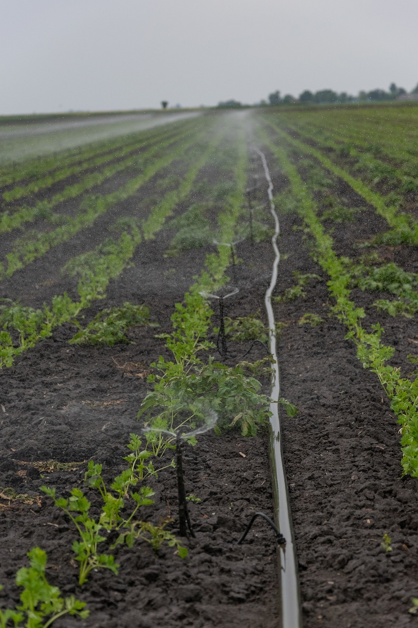 irrigation-5183271_1280