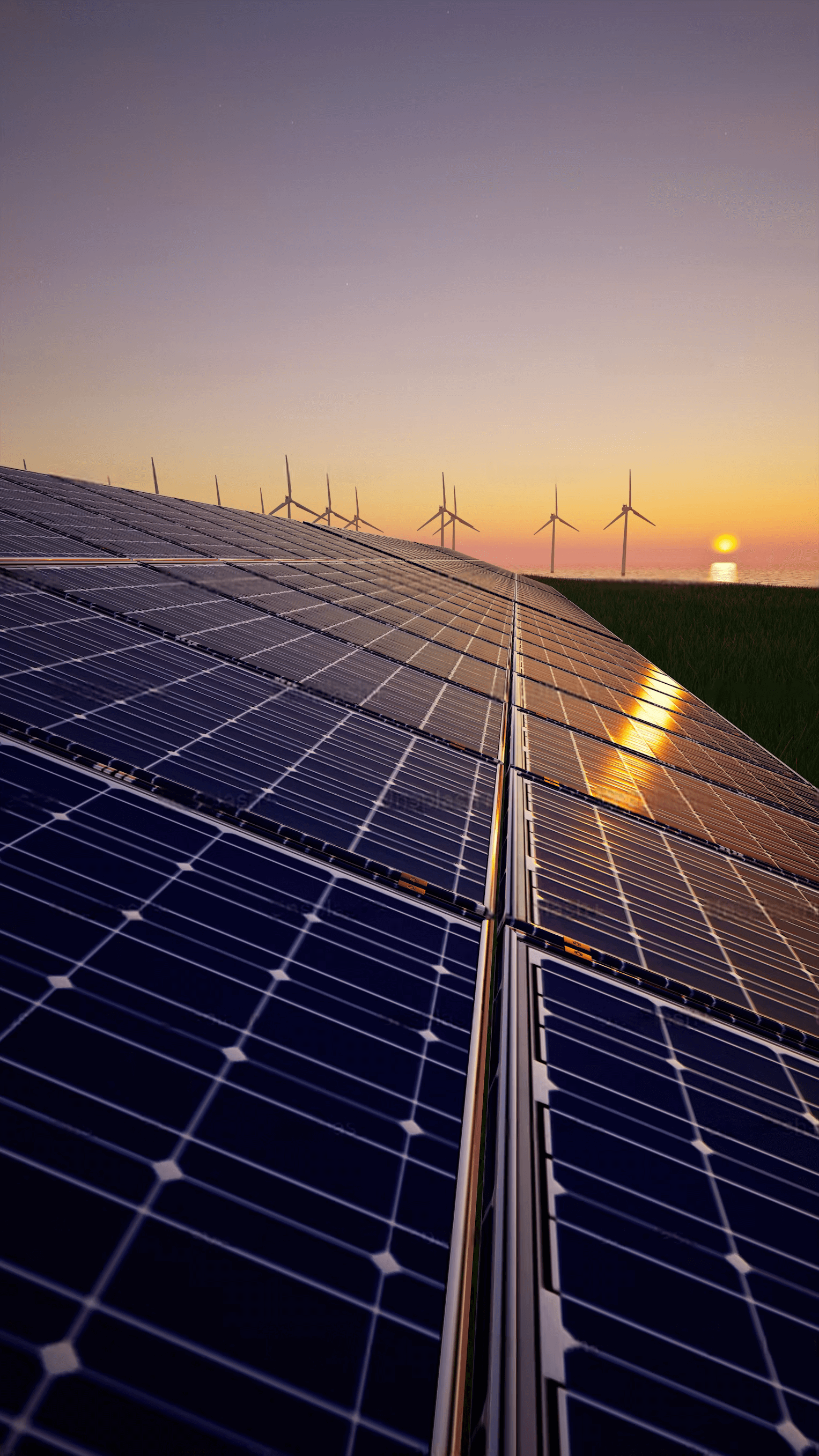 wmremove-transformed (1)